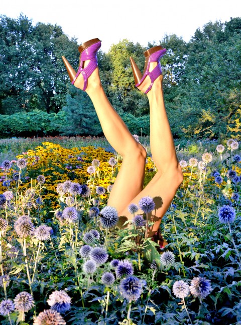 The Power of Flowers