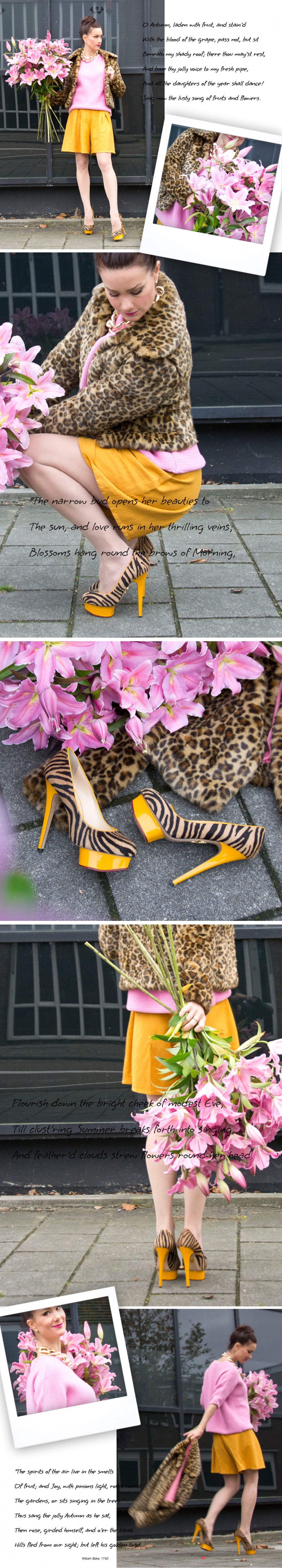 Autumn hues on the loose!